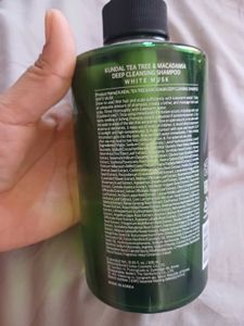 Korean Kundal Tea Tree &amp; Macadamia Shampoo