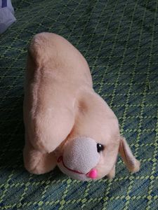 Cute Plush Dog Toy