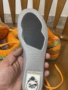 Nike sb dunk shoes