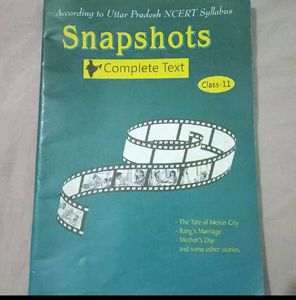 hornbill and snapshot class 11