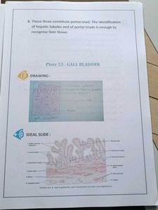 🔴❌Last minute Histology Notes ❌🔴