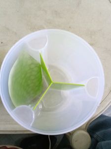 Dry Fruits Container