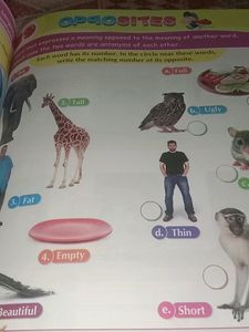 G. K For Kids