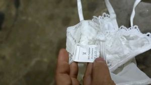 White Lace Trim Bra seezM