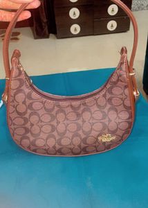 Coach Signature Pattern Hobo Bag