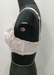 Elegant Lace Trimmed Bra 36DD