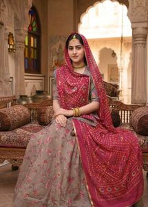 🤎Rajasthani Rajputi Dress &amp; Poshak