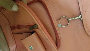 Peach Backpack