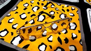 David Beckham Sunglass