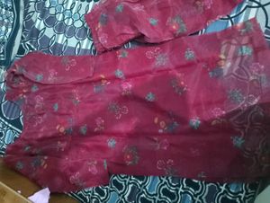 Plazo Suit Aur Organza