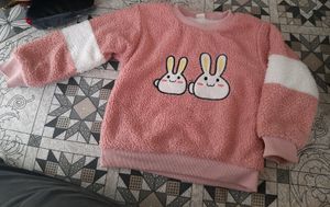 Pink Sweater/sweatshirt