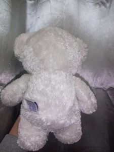 White Teddy Bear (Preloved, Needs a Forever Home)