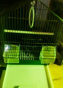 Cage Pijara