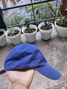 Authentic Polo Ralph Lauren Cap