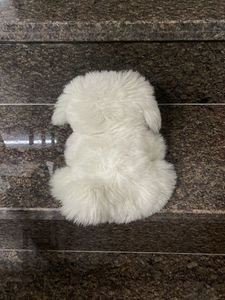 Adorable Plush Dog Toy