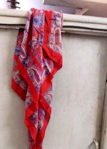 Ladies Scarves.