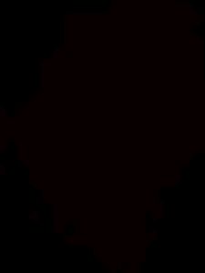 Test T5
