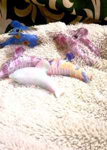Colorful Dolphin Hair Claw - Set of 5