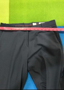 Women Navy Blue Business Suit/ Co ord Set