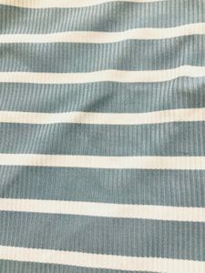 Sleeveless Striped Blue and White Crop top