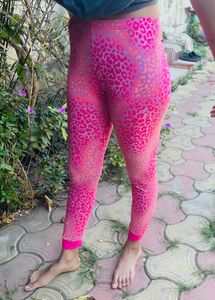 Stylish Jeggins