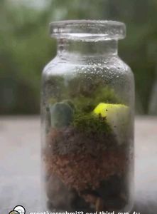 Tiny Bottle