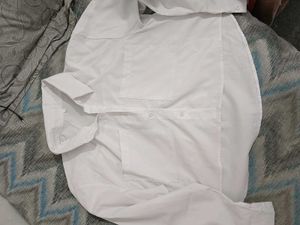 Classic White Cropped Shirt
