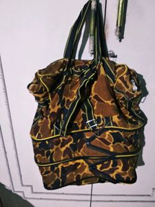 Old Travel Bag