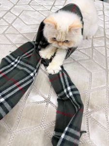 Burberry Classic Check Scarf