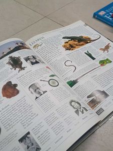 DK Illustrated Family Encyclopedia Vol 9