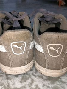 Puma Shoes 👟