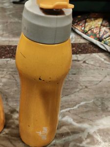 Milton Water Bottle set of 2