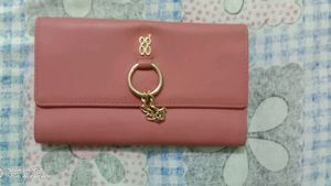 Baggit Brand Clutch