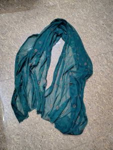 Green Printed Kurta Set with Dupatta