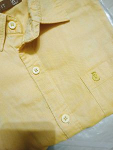 Branded Mustard Yellow Shirt