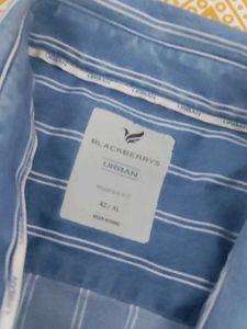 Blackberry Striped Blue Button-Up Shirt