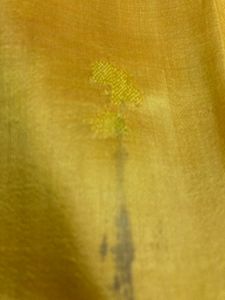 Golani Woven Baluchari | Pure Silk
