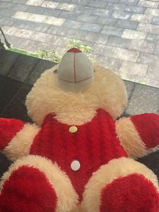 Cute Teddy Bear Plush Toy