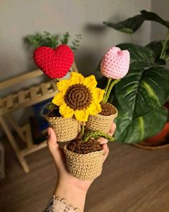 Crocheted Potted Flowers & Heart