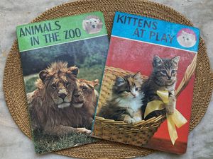 Two colourful picture books from Japan