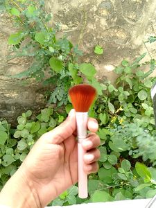 Makeup Brush