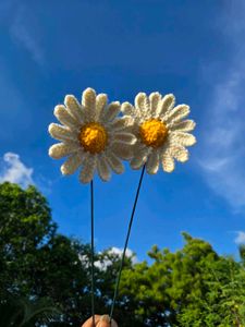 Handmade Crochet daisy
