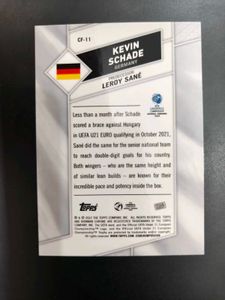 Carry the Flag Chrome Insert - Kevin Schade