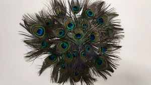 Wall Decorating Peace With Peacock Feather