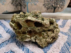 Texas Holey Rock for aquascaping.
