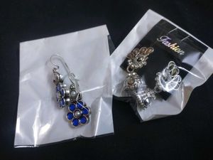 Beautiful Blue & Silver Earrings