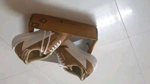 Chunky Platform  Korean Sneakers