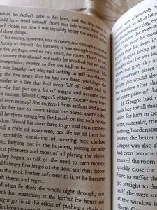 Metamorphosis by Franz Kafka book