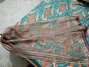 Elegant gotapatti border dupatta