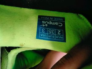 Campus shoes or sneaker